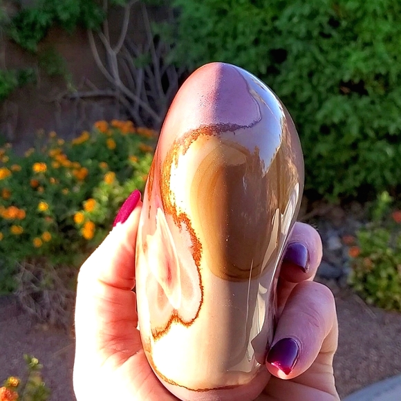 Stunning Rare Daliesque Polychrome Jasper Free Form - Picture 13 of 13